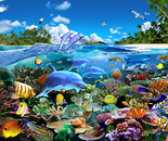 Great Barrier Reef