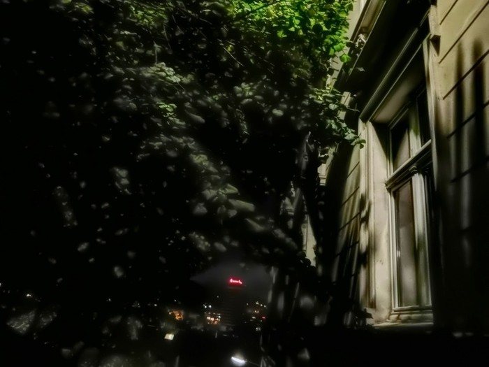 Window (Silence)