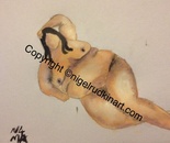 Reclining Nude