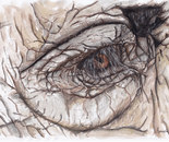 Elephant Eye