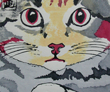 cat and dice 3