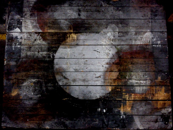 Cosmos 044