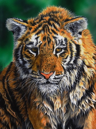 Tiger cub
