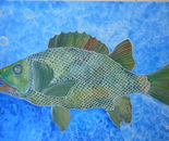 Tropical fish series.-SOLD
