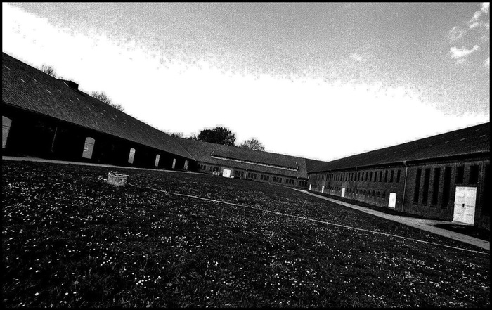 7. An appeal court