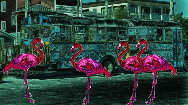 Flamingo bus pink