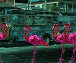 Flamingo bus pink