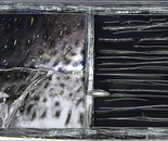 piove piove 