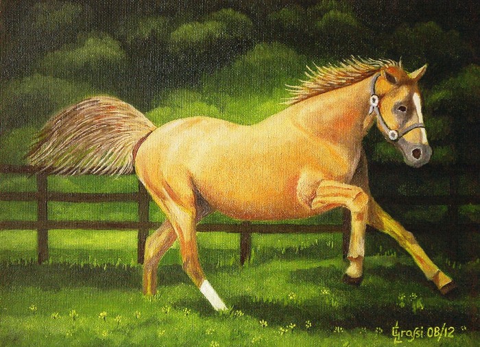 LG 0203 - Kalusha la cavallina - olio su tela - cm. 24x18