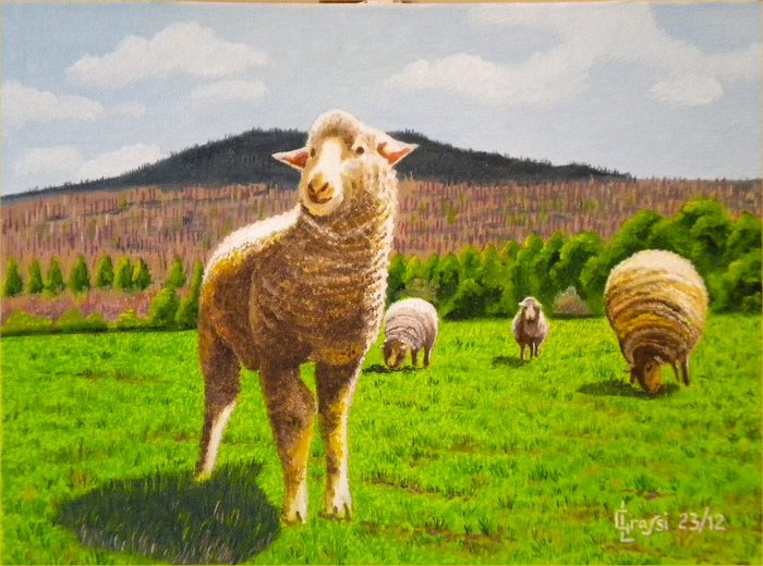 LG 0218 - Le pecorelle - olio su tela - cm. 24x18