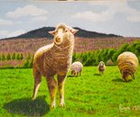 LG 0218 - Le pecorelle - olio su tela - cm. 24x18