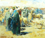 Dust Light and Life- A Day in the Souk