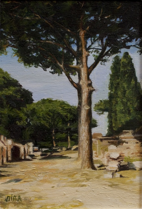 El Arbol: Umbrella Pine