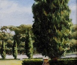 El Arbol: Cypress