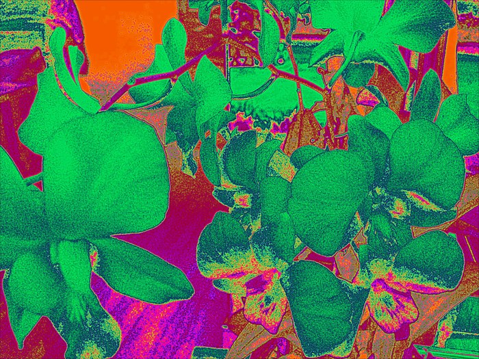Natalya B. Parris's digital art; 2/26/2016 