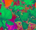 Natalya B. Parris's digital art; 2/26/2016 