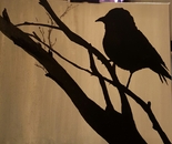 bird silhouette 