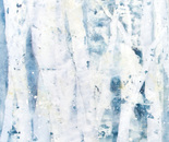 The forest inside me XX-I
