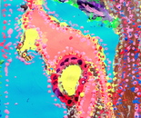 Student's artwork inspired by Aboriginal art; Exploring the World Through Art Spring Break Camp March 28 - April 1, 2016 