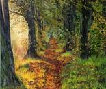 Into the Woods