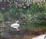 Lady of the Lake