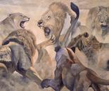 Lion Fight