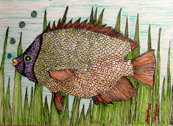 Blank greeting card-20
