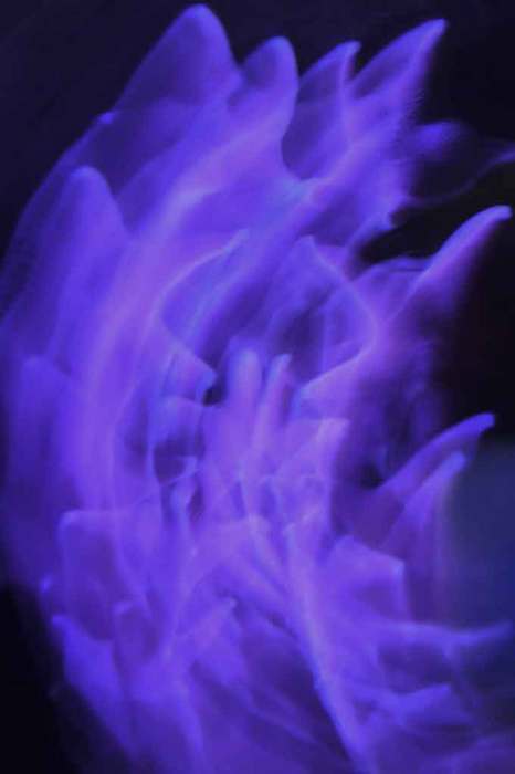 AURA