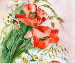 wildflowers
