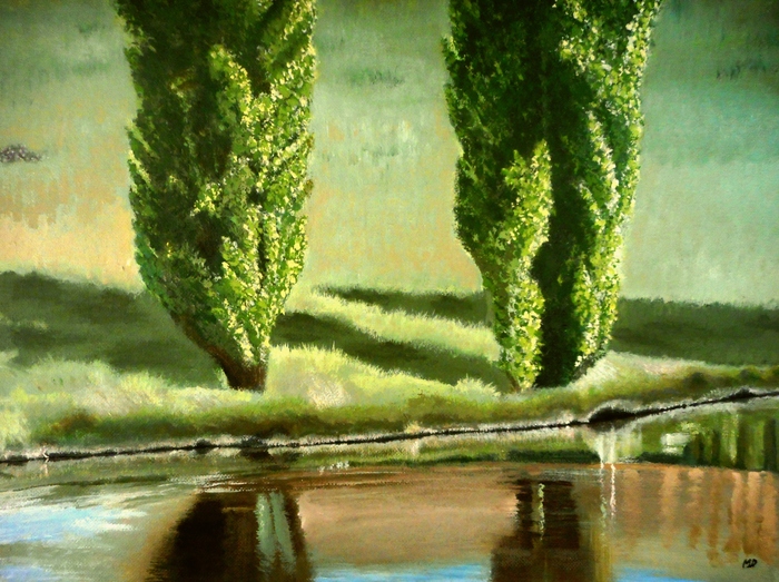 Poplars By The River