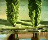 Poplars By The River