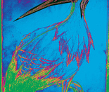 The Stork