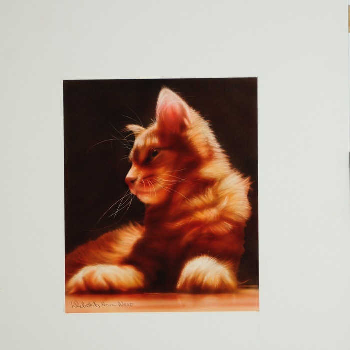 "Red Cat"