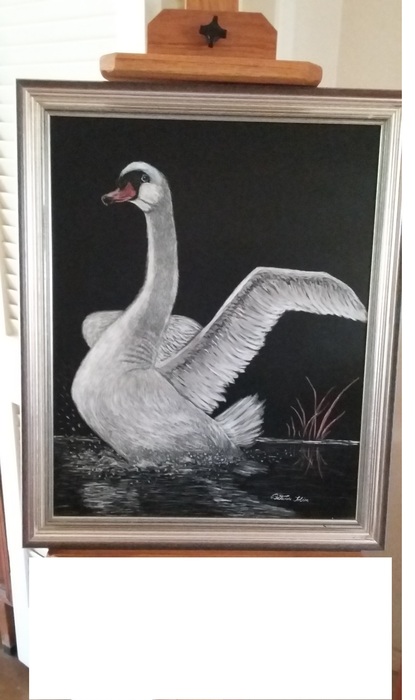 Evening Swan Rising