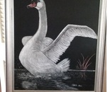 Evening Swan Rising