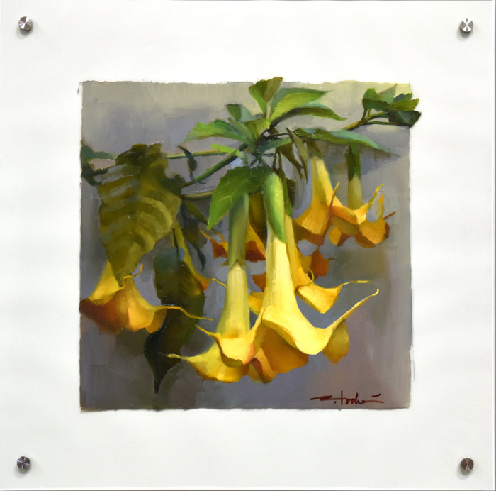 Yellow Trumpets