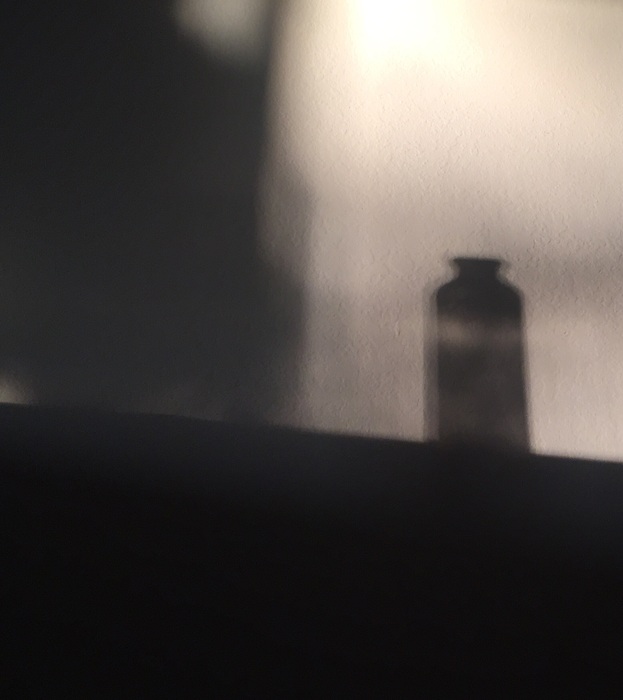 Morning light