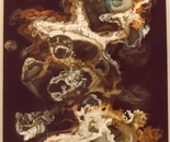 Rupa