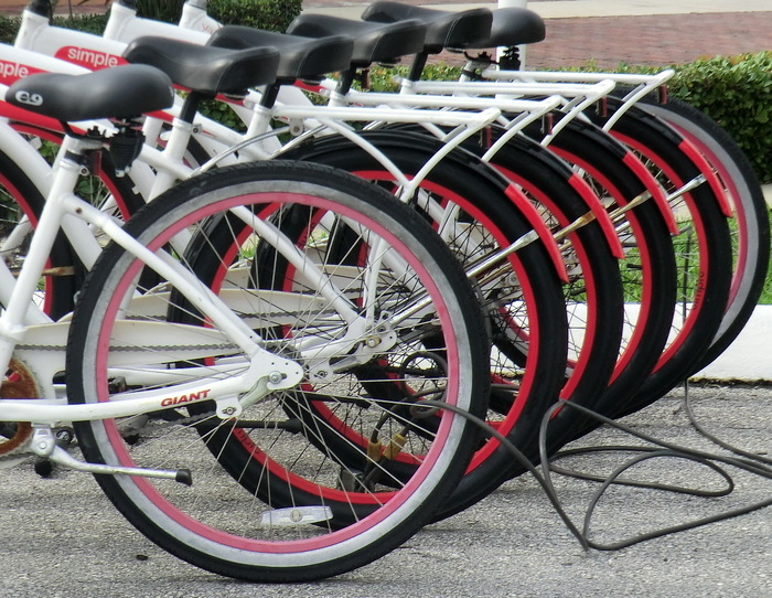 Bikes In Wait