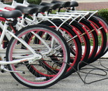Bikes In Wait