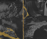 Untitled #5