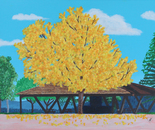 Autumn Splendor