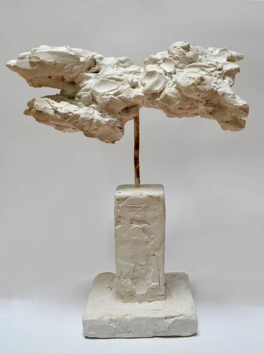 "nuage" (cloud)