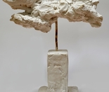 "nuage" (cloud)