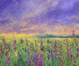 Misty Lupines