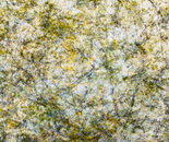 K187_040