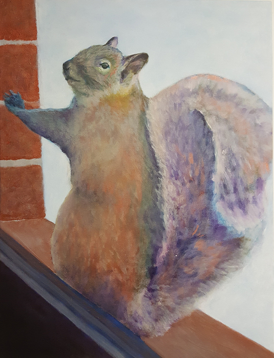 Squirrel! Squirrel! Barked Anina