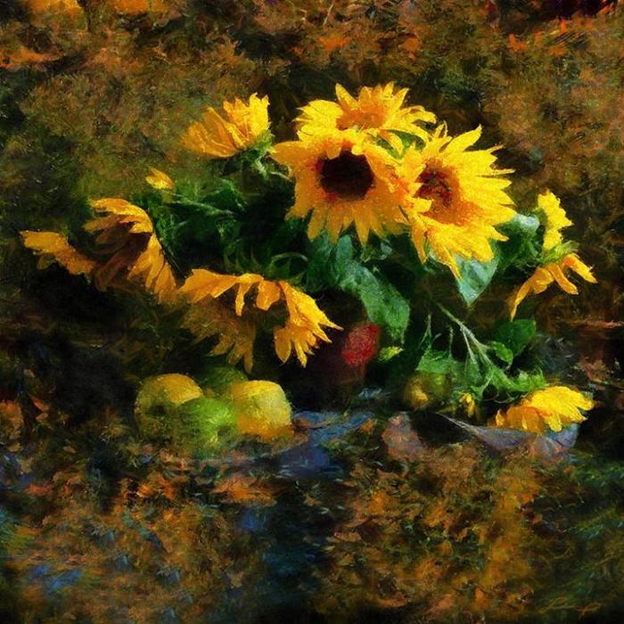 Girasoli con mele