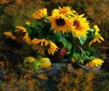 Girasoli con mele