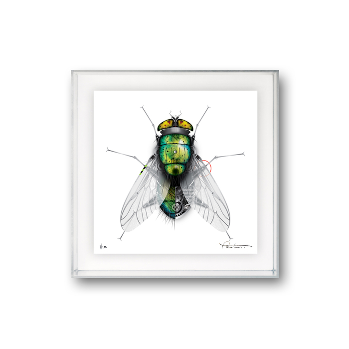 FLY mechismo
